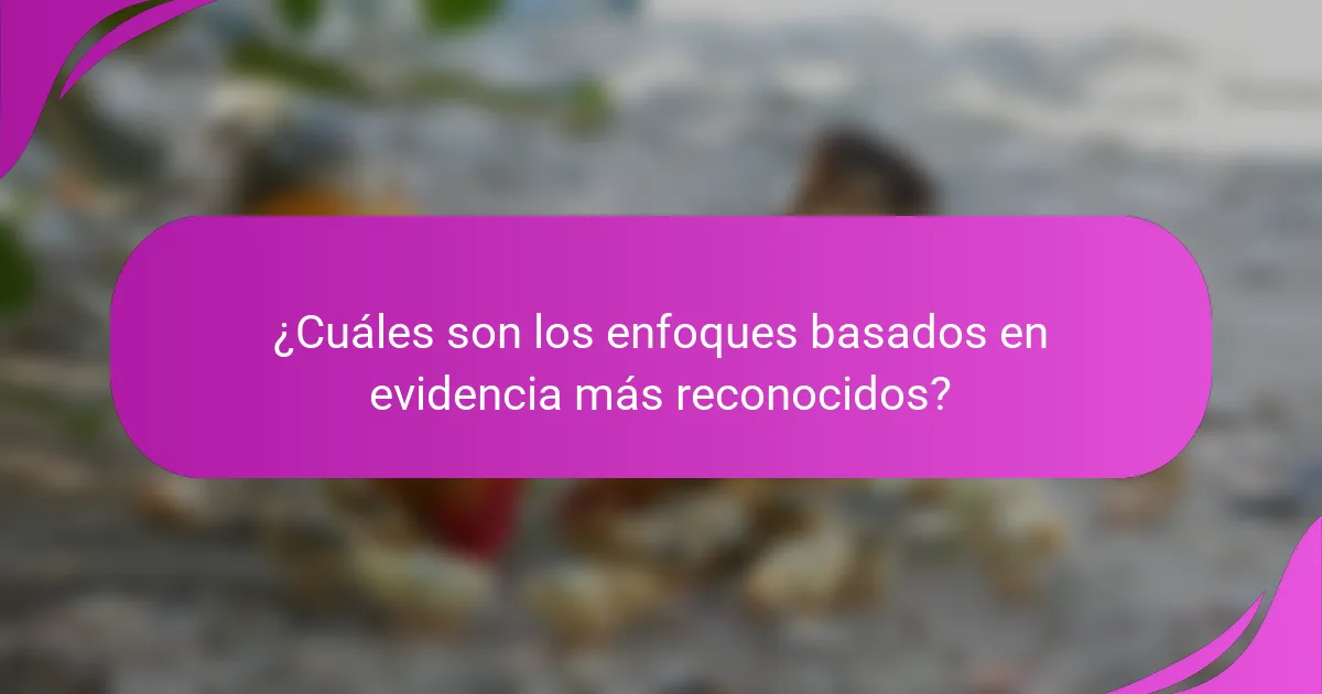 ¿Cuáles son los enfoques basados en evidencia más reconocidos?