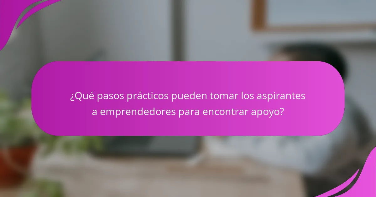 ¿Qué pasos prácticos pueden tomar los aspirantes a emprendedores para encontrar apoyo?
